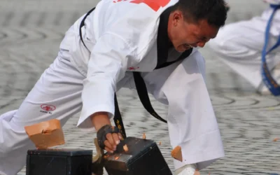 Vivamus eu purus nec nulla maximus condimentum